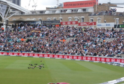 South Africa Test squad: Proven selections for 3rd Test